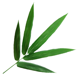 Ningguo Kuntai bamboe en hout Co., Ltd.